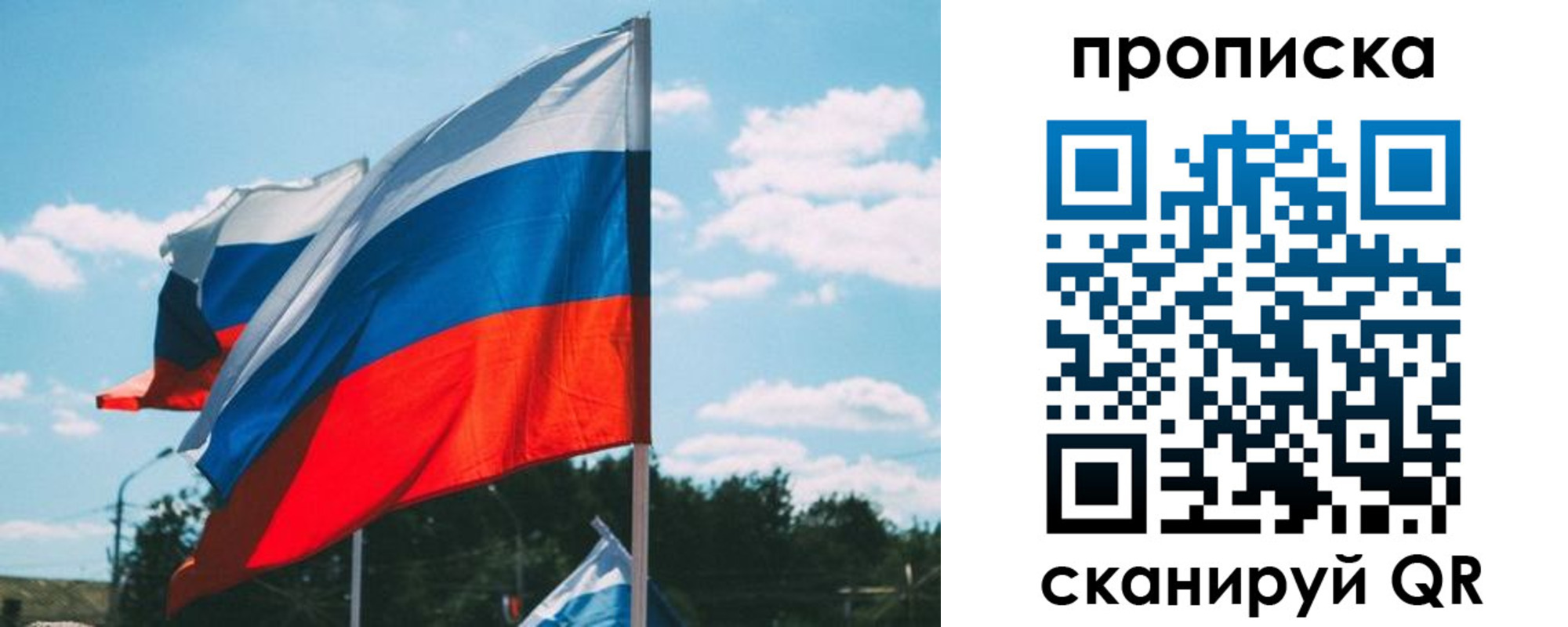 прописка поиск в Тольятти